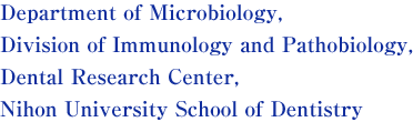 Department of Microbiology,Division of Immunology and Pathobiology,Dental Research Center,Nihon University School of Dentistry