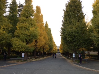 慶応大学日吉キャンパスがとてもきれいでした。