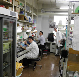 分子生物学用の実験室