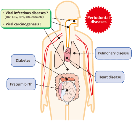 Periodontal diseases and systemic diseases.