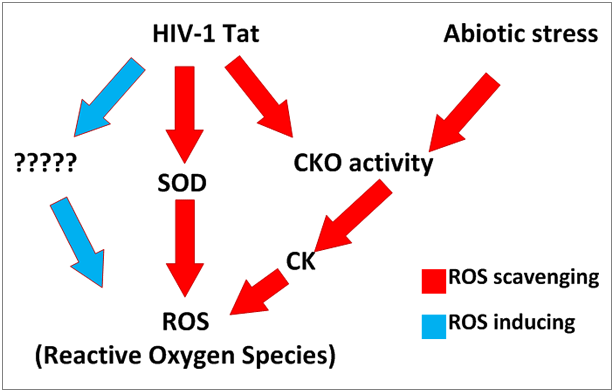 Plant-based approach towards understanding HIV-1 Tat-induced oxidative stress