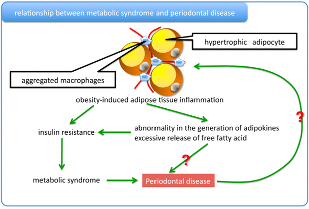 Relationship between periodontal disease and metabolic syndrome