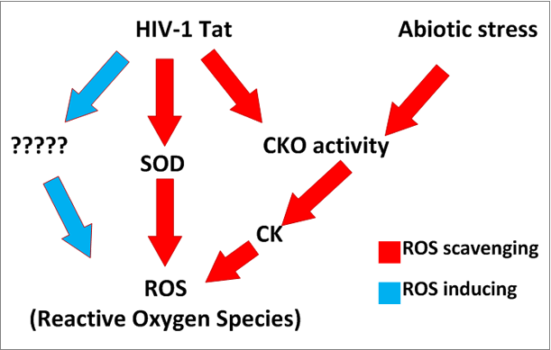 Plant-based approach towards understanding HIV-1 Tat-induced oxidative stress