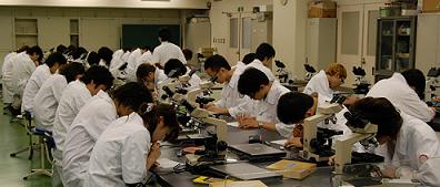 生体組織実習風景